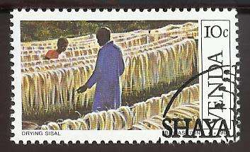 1982 VENDA SISAL CULTIVATION