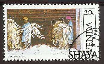 1982 VENDA SISAL CULTIVATION