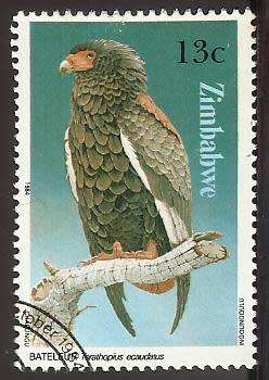 1984 ZIMBABWE BIRD OF PREY