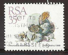 1988 SOUTH AFRICA SUCCULENTS