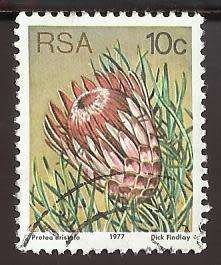 1977 SOUTH AFRICA FLORA, PROTEA PLANTS