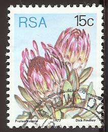 1977 SOUTH AFRICA FLORA, PROTEA PLANTS