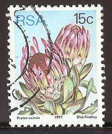 1977 SOUTH AFRICA FLORA, PROTEA PLANTS