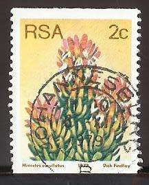 1977 SOUTH AFRICA FLORA, PROTEA PLANTS