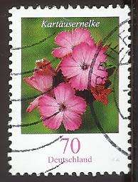 2006 GERMANY FLOWERS