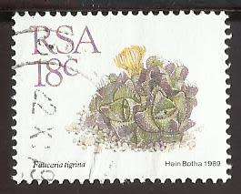 1989 SOUTH AFRICA SUCCULENTS