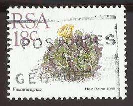 1989 SOUTH AFRICA SUCCULENTS