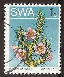 1973 SOUTH WEST AFRICA DESERT PLANT