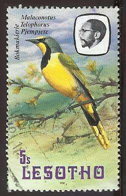 1981 LESOTHO BIRDS