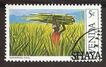 1982 VENDA SISAL CULTIVATION