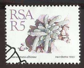 1990 SOUTH AFRICA SUCCULENTS