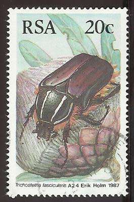 1987 SOUTH AFRICA BEETLES