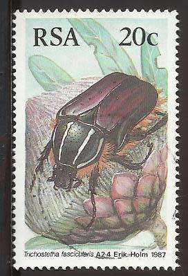 1987 SOUTH AFRICA BEETLES