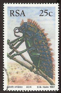 1987 SOUTH AFRICA BEETLES