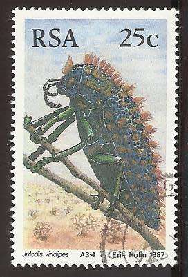 1987 SOUTH AFRICA BEETLES