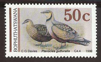 1990 BOPHUTHATSWANA SANDGROUSE