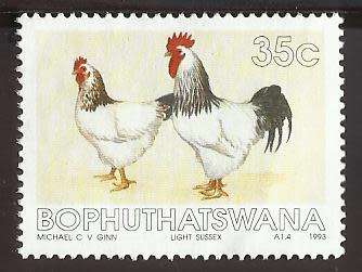 1993 BOPHUTHATSWANA CHICKENS