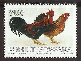 1993 BOPHUTHATSWANA CHICKENS