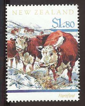 1997 NEW ZEALAND CATTLE BREEDS