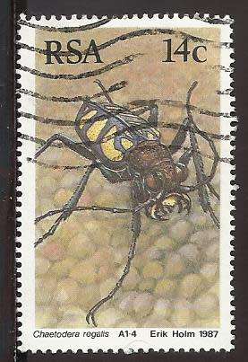 1987 SOUTH AFRICA BEETLES