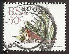 1988 SOUTH AFRICA SUCCULENTS