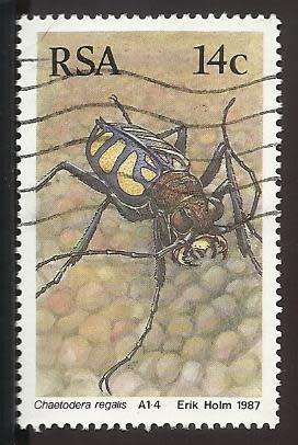 1987 SOUTH AFRICA BEETLES