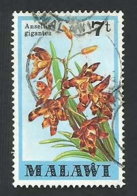 1979 MALAWI ORCHIDS