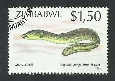 1994 ZIMBABWE FISH