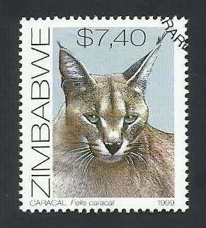 1999 ZIMBABWE CATS