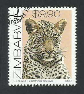 1999 ZIMBABWE CATS