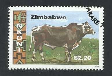 1997 ZIMBABWE CATTLE BREEDS