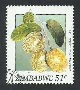 1991 ZIMBABWE WILD FRUITS