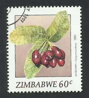 1991 ZIMBABWE WILD FRUITS