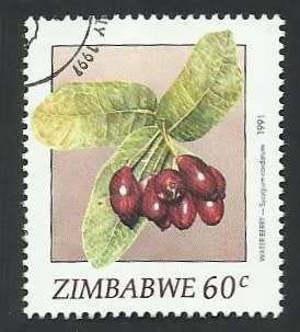 1991 ZIMBABWE WILD FRUITS