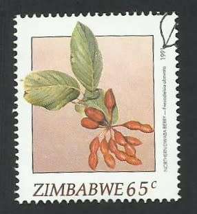 1991 ZIMBABWE WILD FRUITS