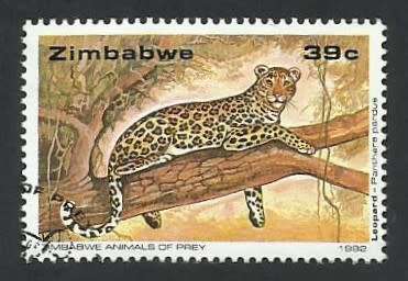 1992 ZIMBABWE BIG CATS