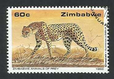 1992 ZIMBABWE BIG CATS