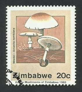 1992 ZIMBABWE EDIBLE MUSHROOMS