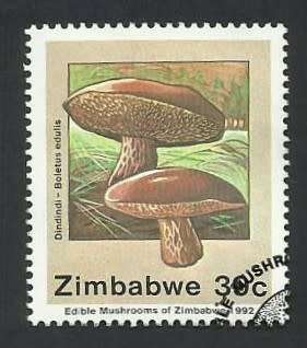 1992 ZIMBABWE EDIBLE MUSHROOMS