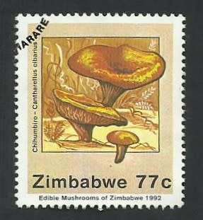 1992 ZIMBABWE EDIBLE MUSHROOMS