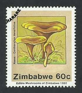 1992 ZIMBABWE EDIBLE MUSHROOMS