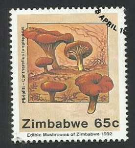 1992 ZIMBABWE EDIBLE MUSHROOMS