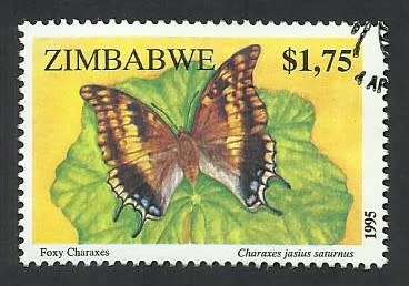 1995 ZIMBABWE INSECTS