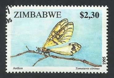 1995 ZIMBABWE INSECTS