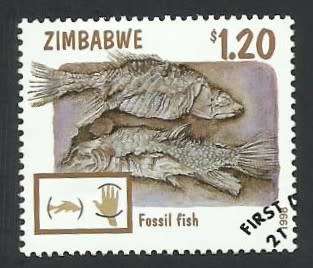 1998 ZIMBABWE FOSSILS