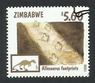 1998 ZIMBABWE FOSSILS