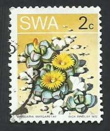 1973 SOUTH WEST AFRICA DESERT PLANT