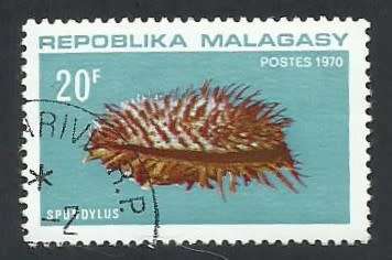 1970 MADAGASCAR MARINE SNAIL HOUSING