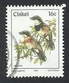 1987 CISKEI BIRDS