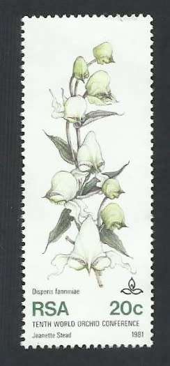 1981 SOUTH AFRICA THE 10TH WORLD ORCHID CONFERENCE